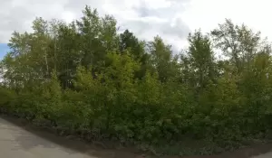 Фотография СпецСервис 3