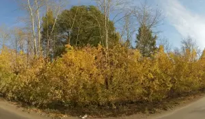 Фотография ЭкоТранс 2